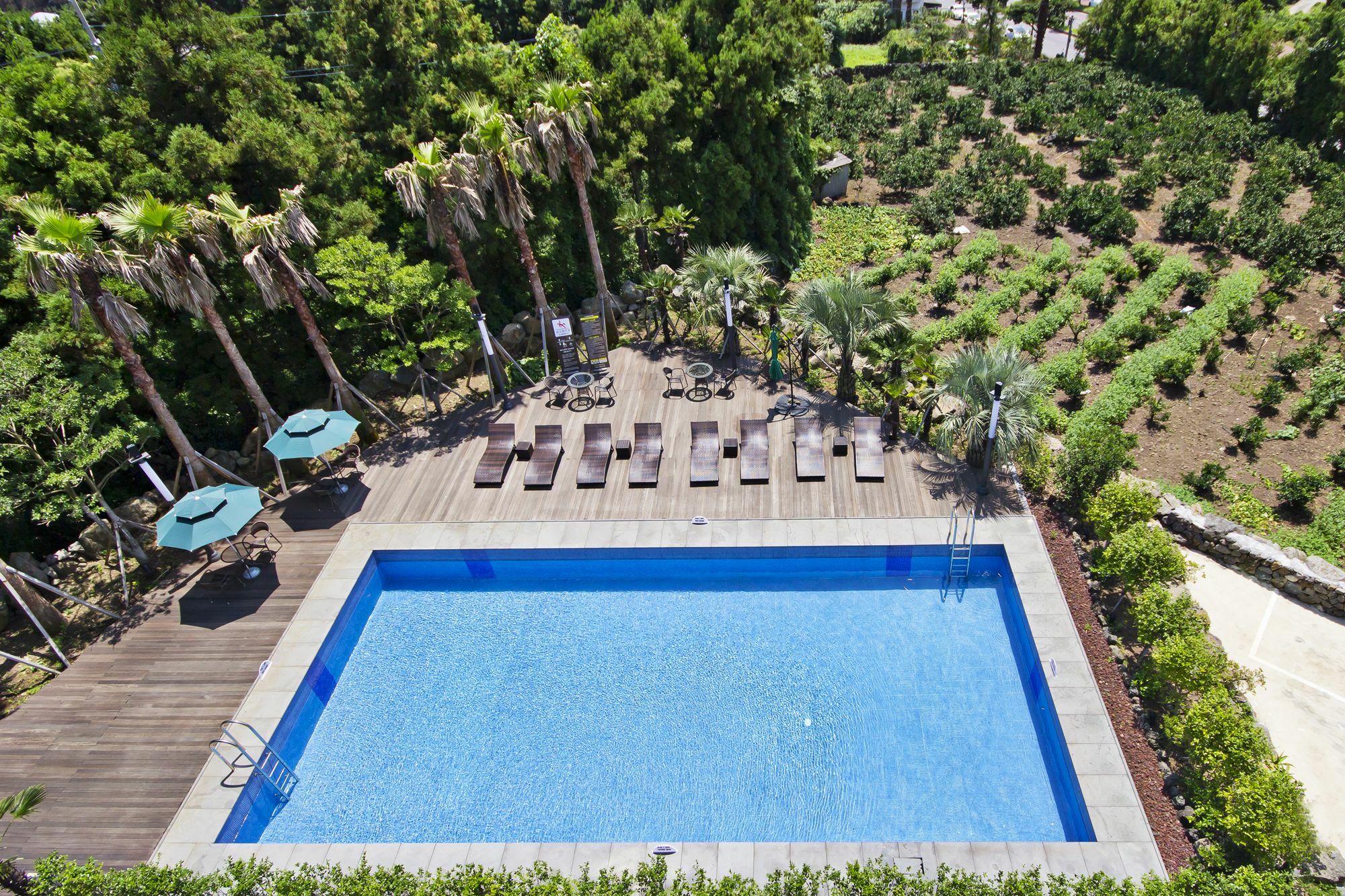 Sunrise Hotel Jungmun Branch Seogwipo Exterior foto