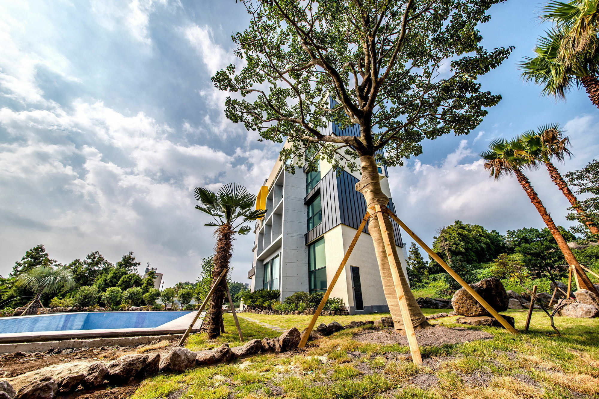 Sunrise Hotel Jungmun Branch Seogwipo Exterior foto